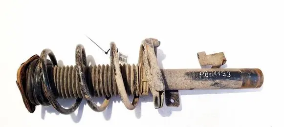 Ford C-MAX I Front shock absorber/damper DSB048G