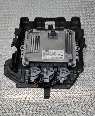 Citroen C4 I Picasso Engine control unit/module 0281013334 9666986680 9653958980