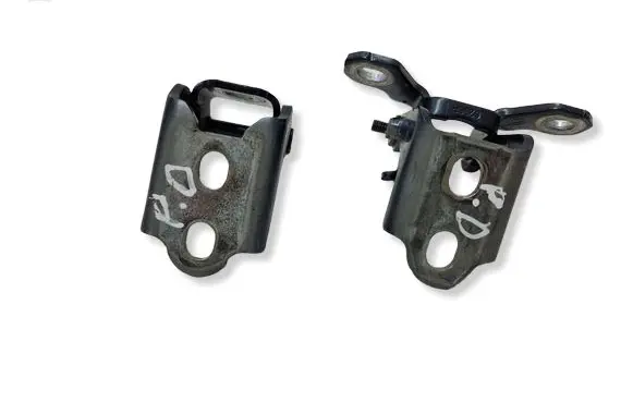 Renault Megane IV Front door hinge set 