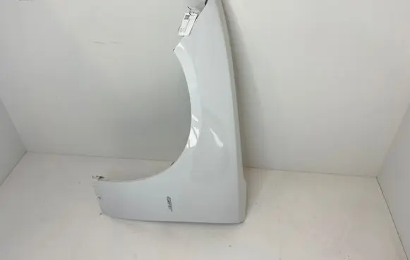 Dodge Charger Fender 