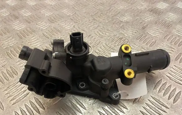 Thermostat/thermostat housing