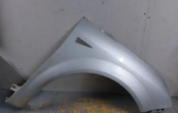 Renault Scenic II - Grand scenic II Fender