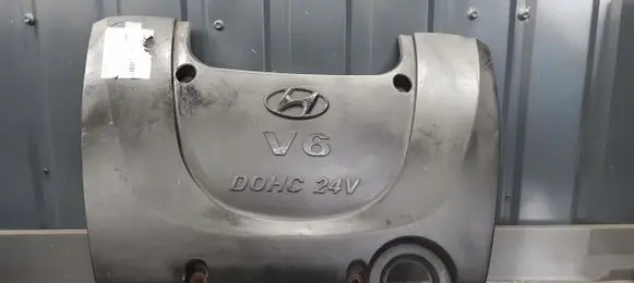 Hyundai Sonata Engine cover (trim)