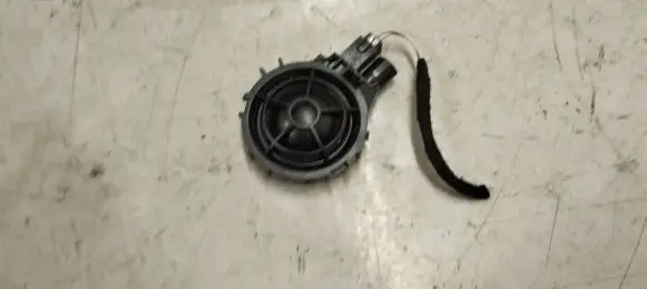 Front door high frequency speaker