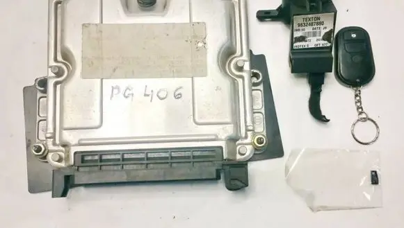 Peugeot 406 Engine control unit/module 9632487880 0281010166