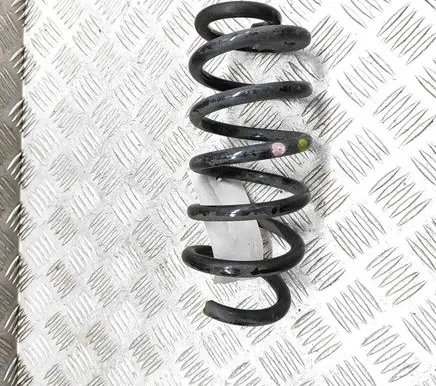Renault Clio IV Rear coil spring 550202996R