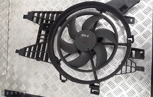 Renault Kangoo II Electric radiator cooling fan 8240549