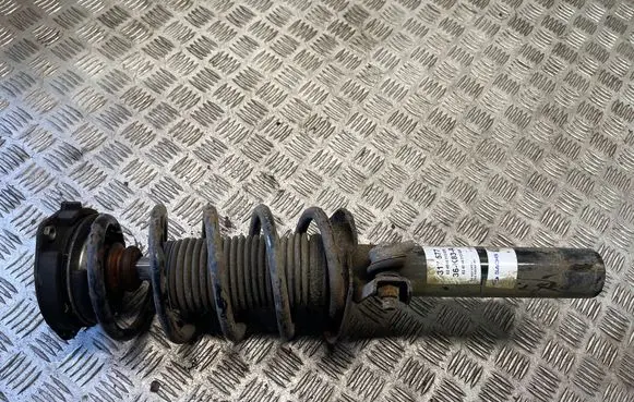 Volkswagen PASSAT B6 Front shock absorber with coil spring 317577