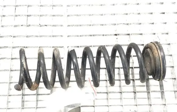 Rear coil spring