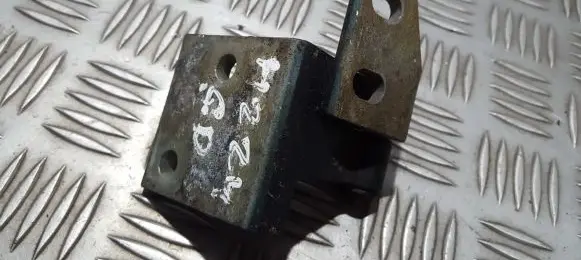 Peugeot 406 Rear door lower hinge