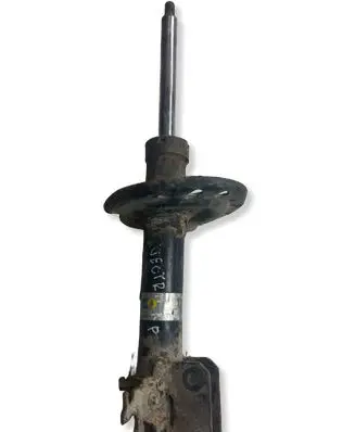 Opel Vectra C Front shock absorber/damper 