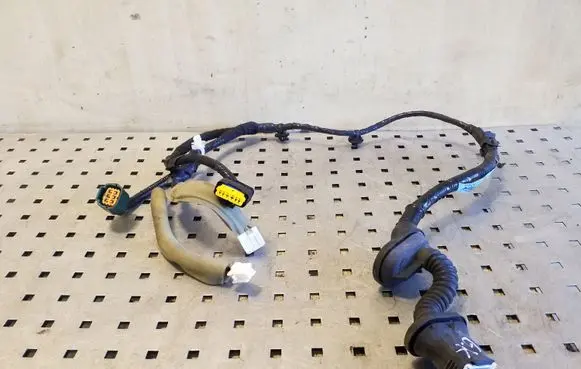 Rear door wiring loom