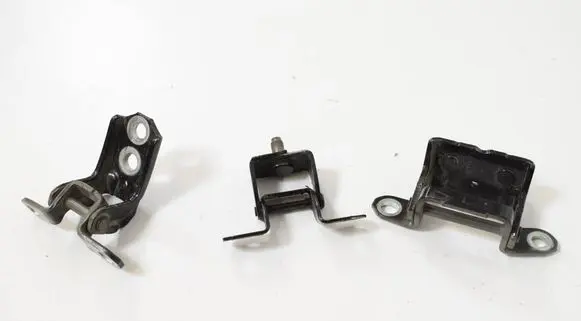 Nissan Juke I F15 Rear door lower hinge