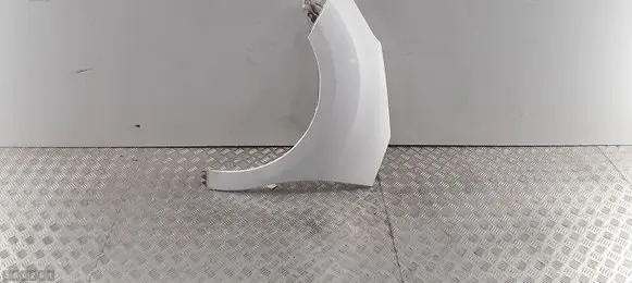 Citroen DS3 Fender