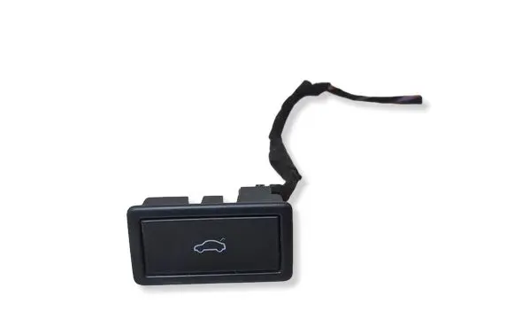 Volkswagen PASSAT B8 Tailgate/boot open switch button 3G0959831B 03019