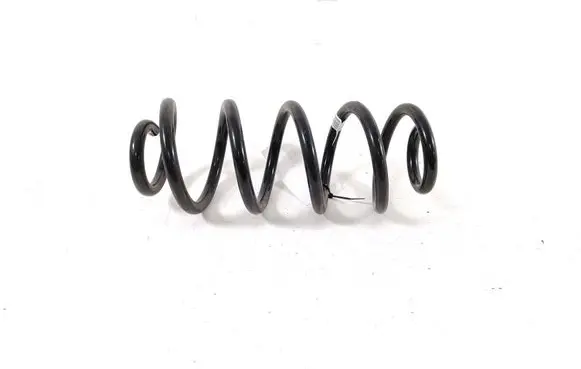 Rear coil spring