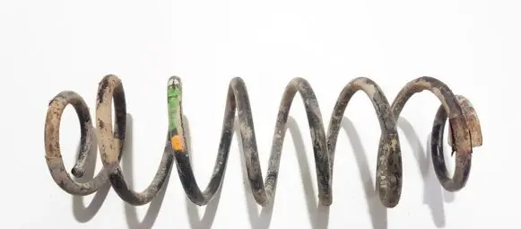 Volkswagen Fox Rear coil spring