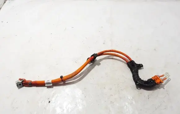 Other wiring loom