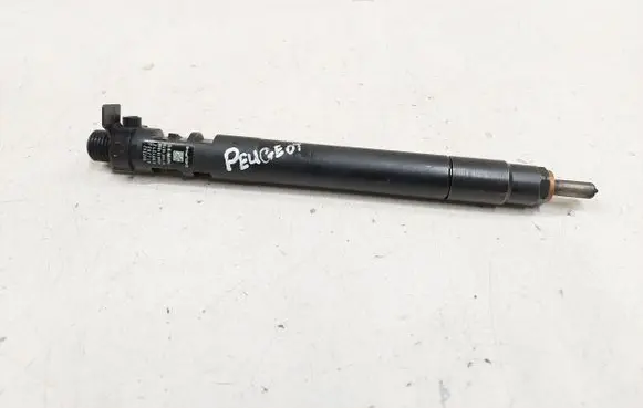 Peugeot 508 RXH Fuel injector EMBR00101D 9686191080 1676AF16F84