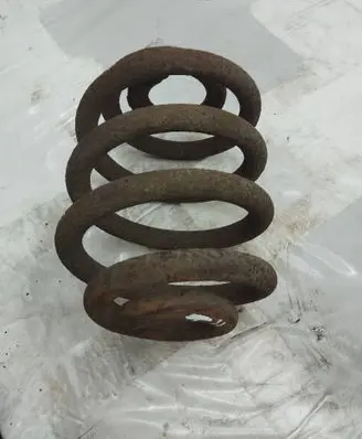 Rear coil spring