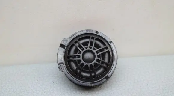 Front door speaker