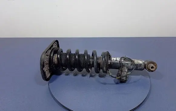 Rear shock absorber/damper