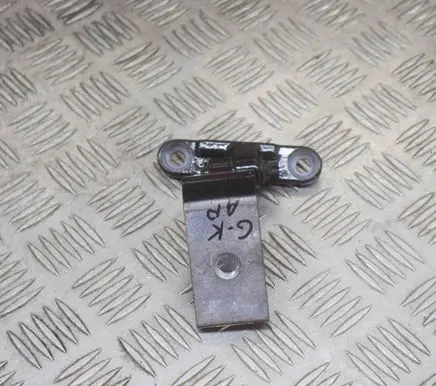 BMW 5 F10 F11 Rear door lower hinge 7185635