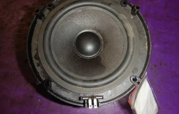 Front door speaker