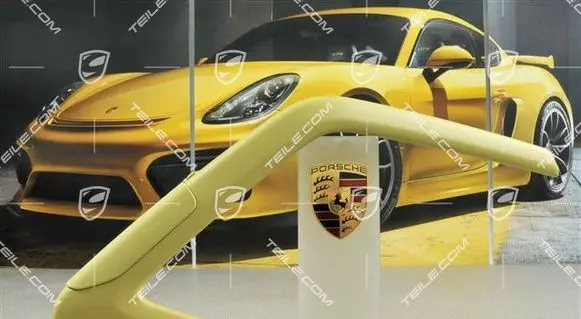 Porsche Boxster 981 Parcel shelf load cover 98155553300OU3