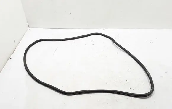 Chrysler Pacifica Rubber seal sliding door (on door) 68313523AB