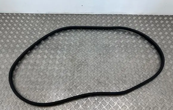 Fisker Ocean Front door rubber seal