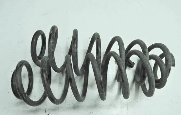 Rear coil spring