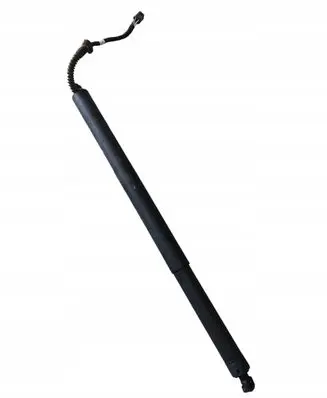 Seat Ateca Tailgate strut 5FE827851