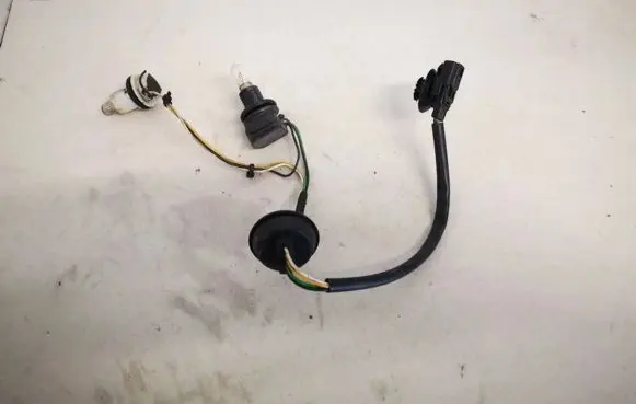 Renault Laguna III Rear tail light bulb 
