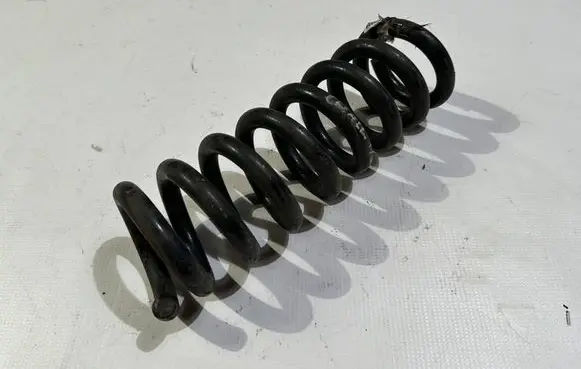 Dodge Charger Rear coil spring 0516-8899AB