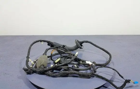 BMW X7 G07 Other wiring loom 8779824