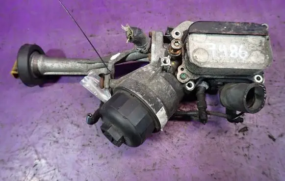 Fiat Punto (199) Oil filter cover 