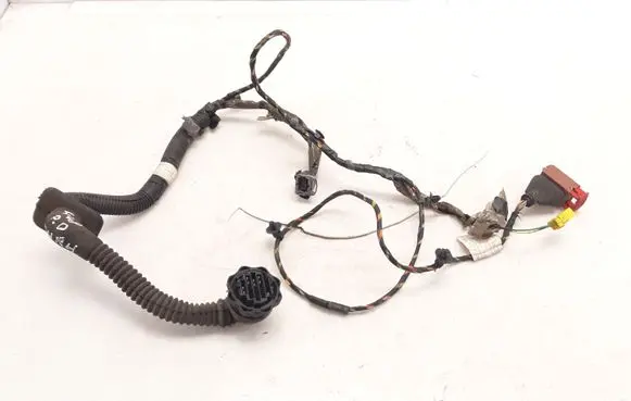 Front door wiring loom