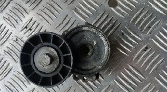 Citroen Jumpy Alternator belt tensioner 