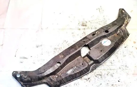 Engine bonnet/hood lock trim molding