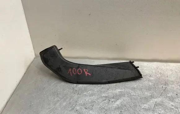 Rear/tail light trim molding
