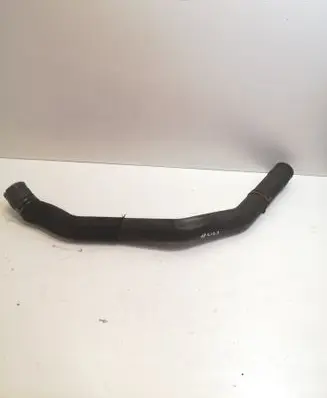 Mercedes-Benz A W169 Engine coolant pipe/hose A1695011082