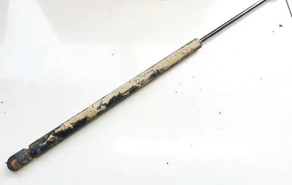 Tailgate/trunk strut/damper