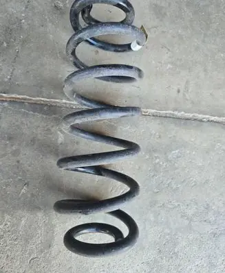 Rear coil spring