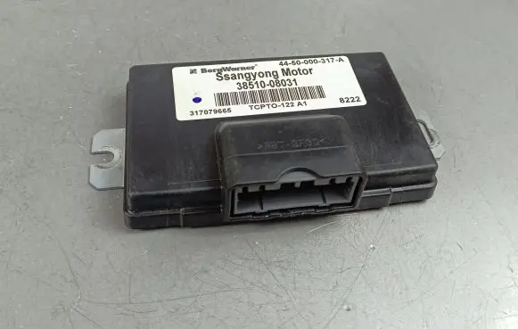 SsangYong Musso Other control units/modules 3851008031