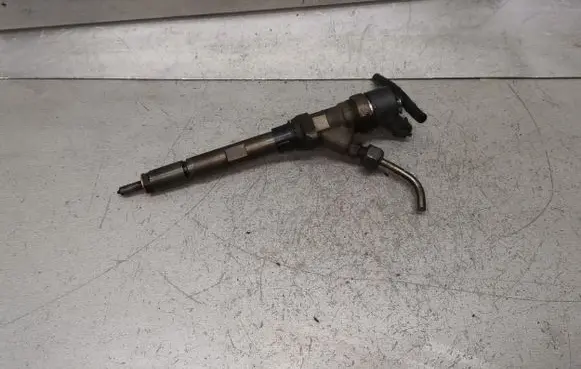 Citroen C5 Fuel injector 0445110036 9653344880