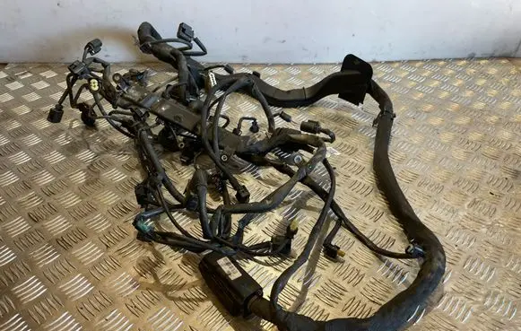 Mercedes-Benz C W204 Engine installation wiring loom A6461503720