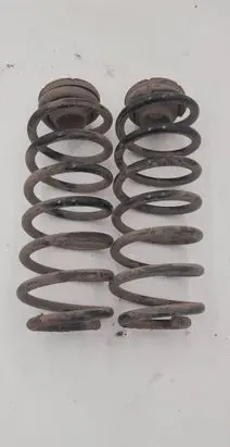 Rear coil spring