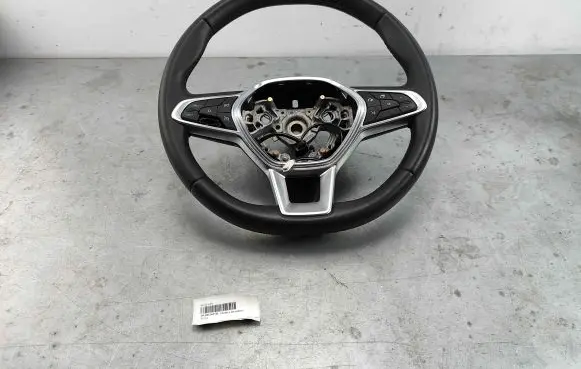Renault Zoe Steering wheel 484002607R