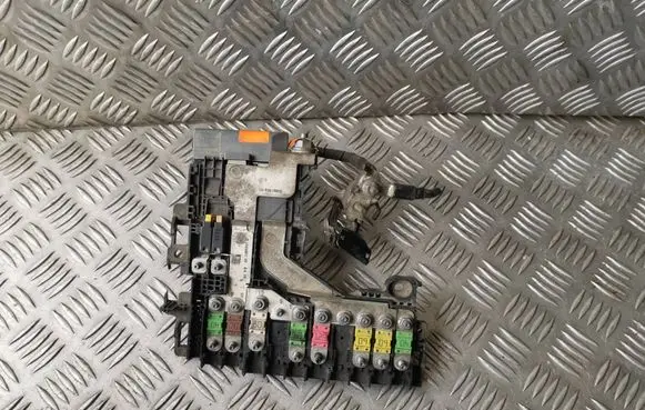 Peugeot 508 Positive wiring loom 9665232380